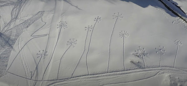 Biennale Culturelle en Maurienne 3 - Champs dessinés